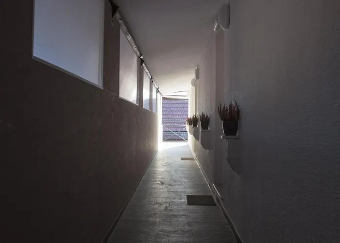 Apartments Shishka